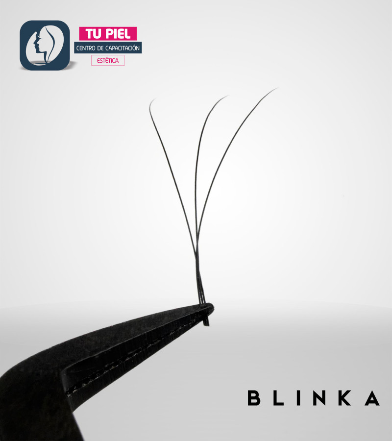 EYELASH EXTENSION | D CURL | 0,07 | 3D CLOVER | 10mm | 3DD07-10MM