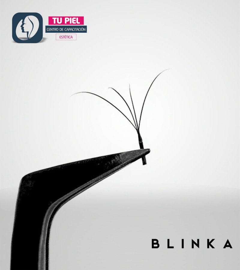 EYELASH EXTENSION | M CURL | 0,07 | 4D CLOVER | 10mm | 4DM07-10MM