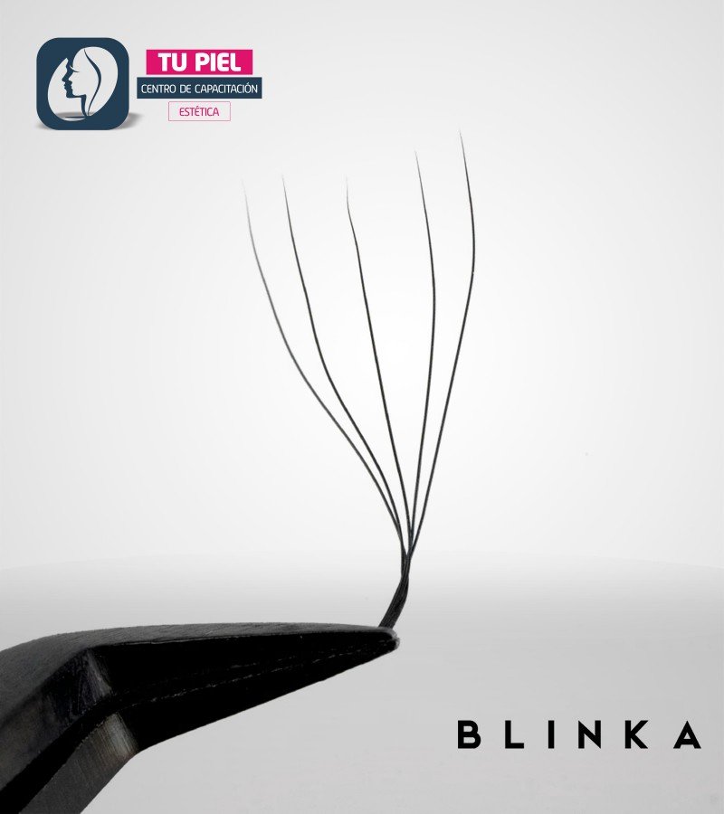 EYELASH EXTENSION | M CURL | 0,07 | 5D CLOVER | 5DM07