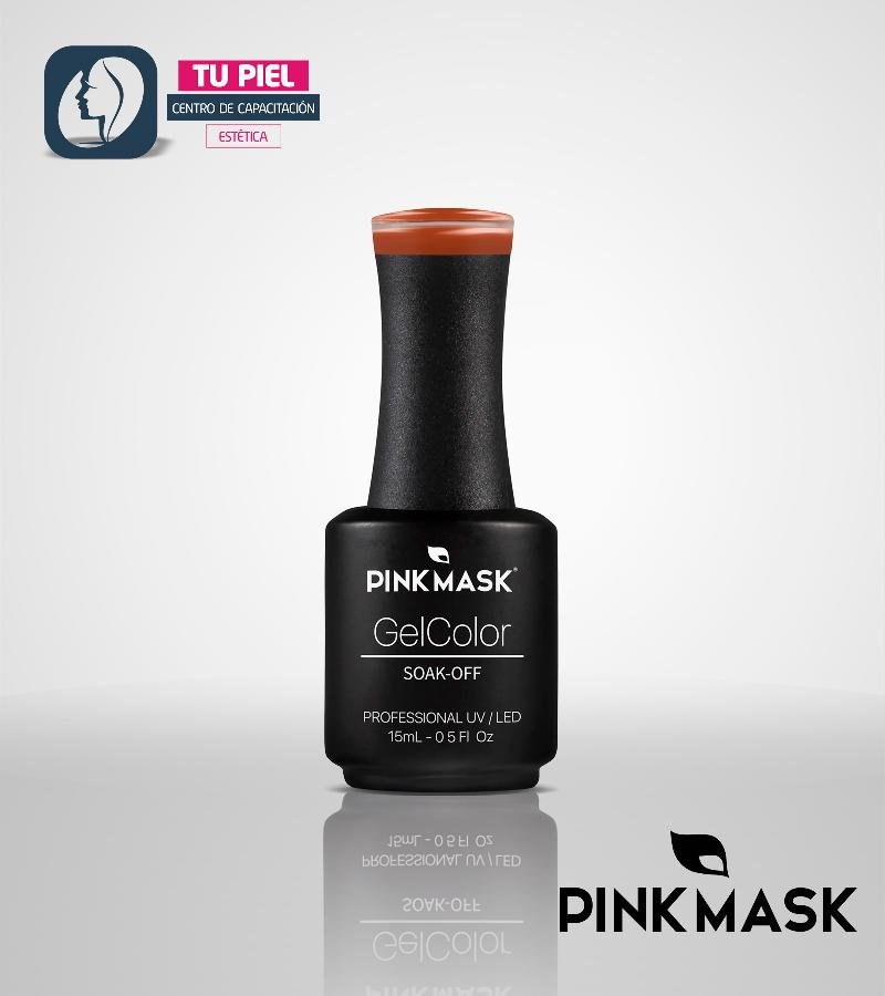 GEL COLOR PUMPKIN COL FOOD2 OTOÑO 2022 COD299